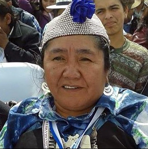 Ana Llao, consejera mapuche: «Rechazamos la represión abusiva en contra de ancianos, mujeres y niños» a quienes se les dispara a quemarropa