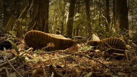 Aokigahara: El bosque de los suicidios