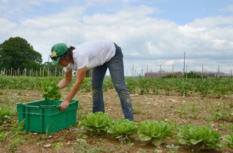 Hospital crea granja propia para alimentar a pacientes