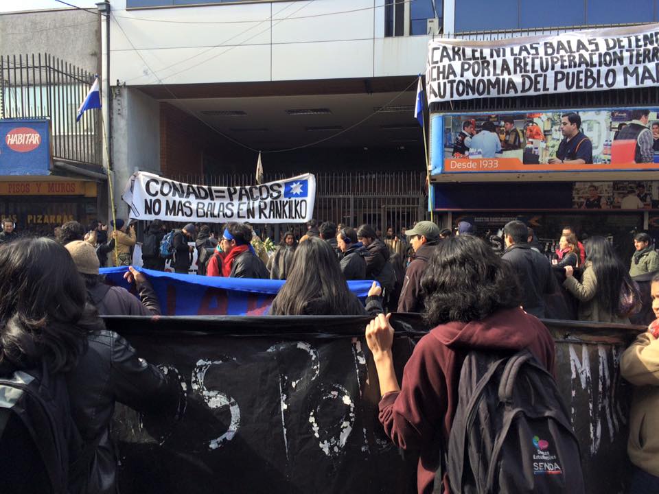 Marcha pacífica mapuche logra masiva asistencia en apoyo a originarios que ocupan la CONADI