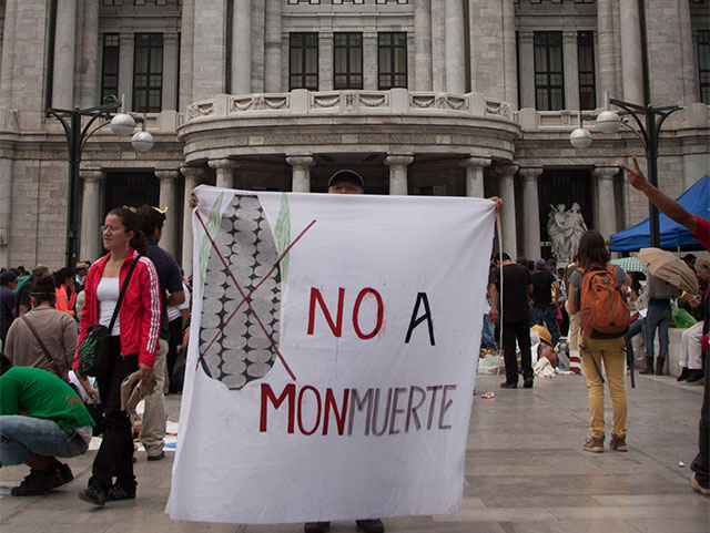 México enfrenta denuncias por violar los derechos de las comunidades indígenas en materia de transgénicos