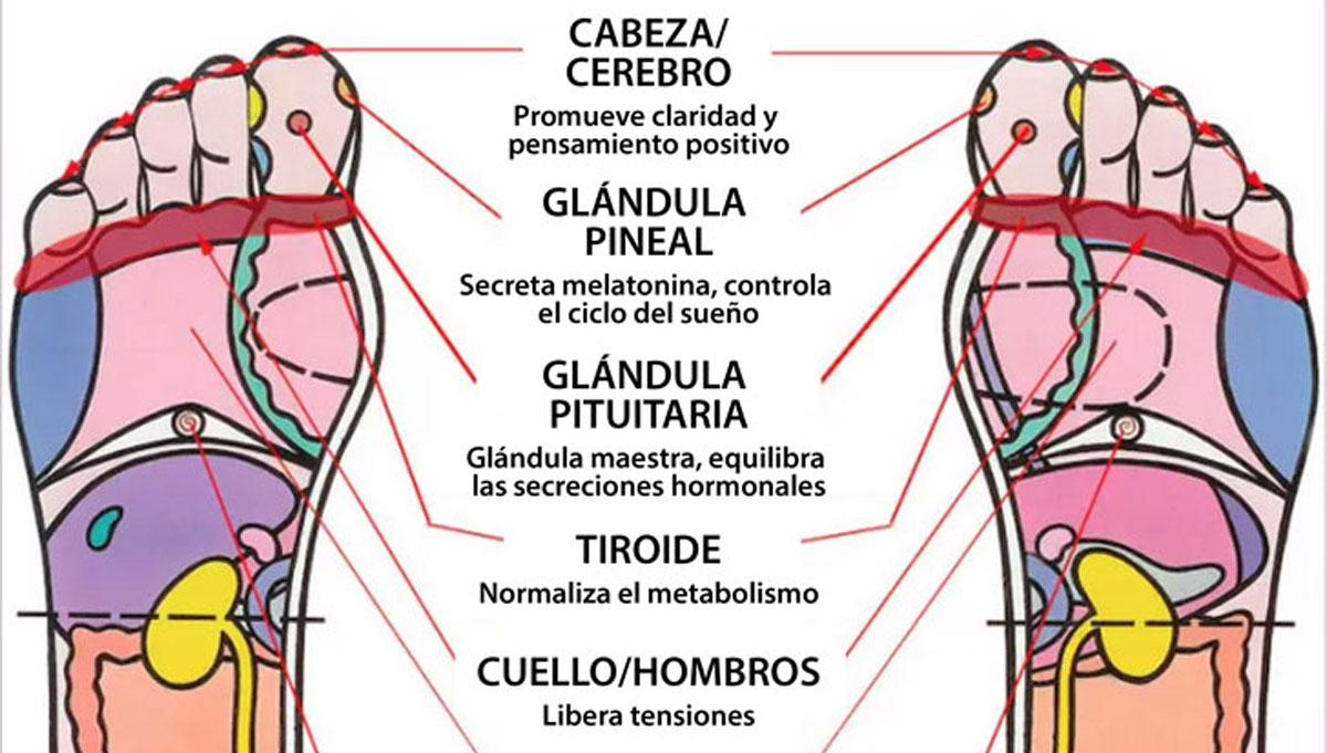 Aprende cómo hacerte reflexología de pies para que puedas dormir mejor que nunca