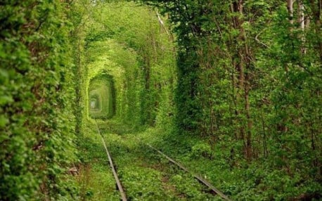 10 maravillosos túneles creados por la naturaleza