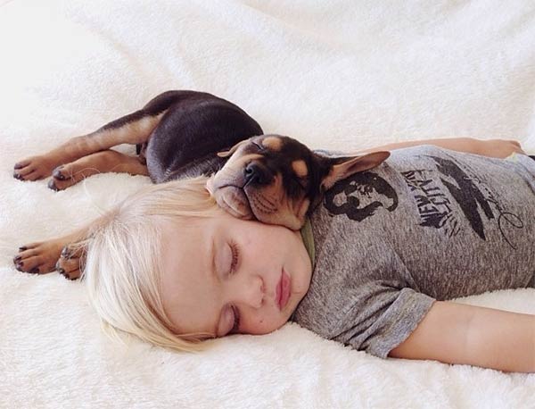 ¿Tu perro duerme contigo en tu cama? ¡Conoce los beneficios de esto!