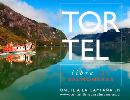 Organizaciones celebran decisión de no instalar salmoneras en Tortel