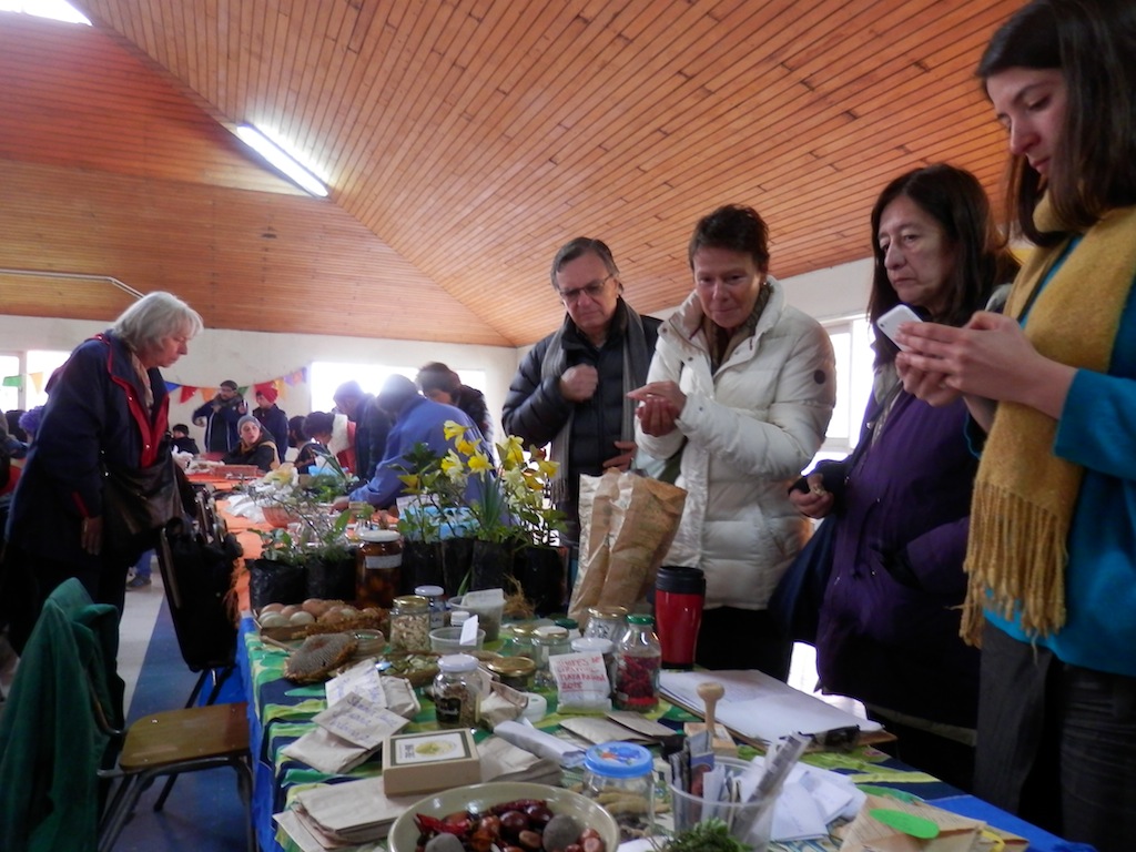 Importante encuentro sobre intercambio de semillas y saberes se realizó en Valdivia