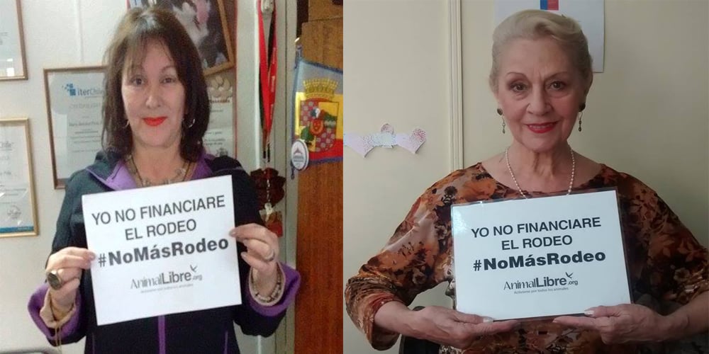 Campaña “Yo No Financiaré el Rodeo” consigue apoyo de concejales