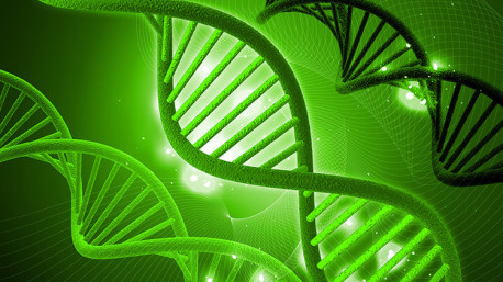 En nuestro cuerpo podría haber ADN ‘atrapado’ de otros seres humanos