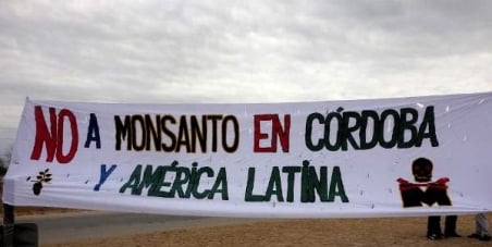 «Primavera sin Monsanto», un acampe que cumple dos años resistiendo a los agrotóxicos.