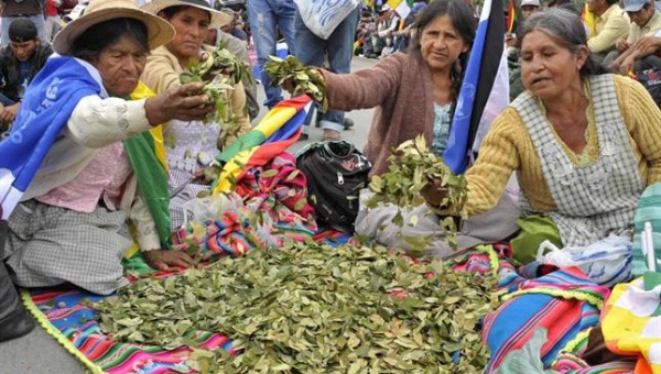 Bolivia propone comercialización de la hoja de coca