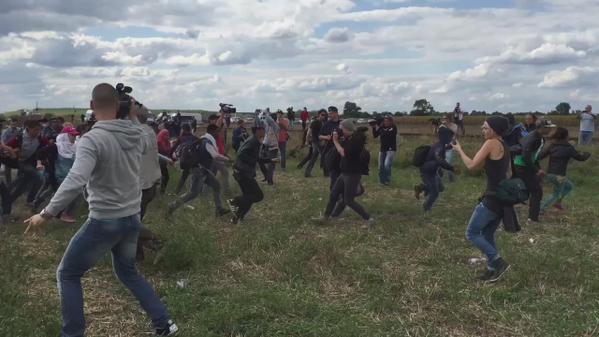 Video: Una reportera húngara da patadas y pone zancadillas a un refugiado con un menor en brazos