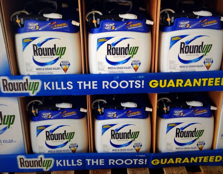 Descubren vínculos entre los herbicidas de Monsanto y el cáncer cerebral infantil