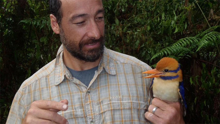 Polémica: en nombre de la ciencia, mataron un ave que no había sido vista en medio siglo