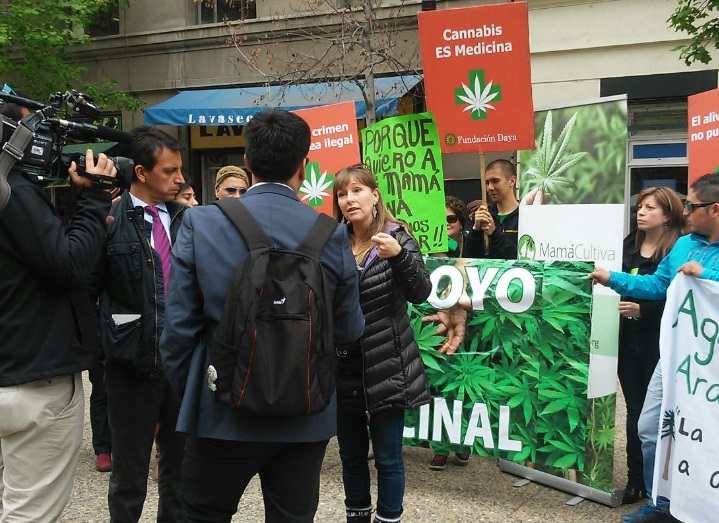 Fundación Daya protestó frente al SAG por retraso en autorización de cultivo de marihuana medicinal
