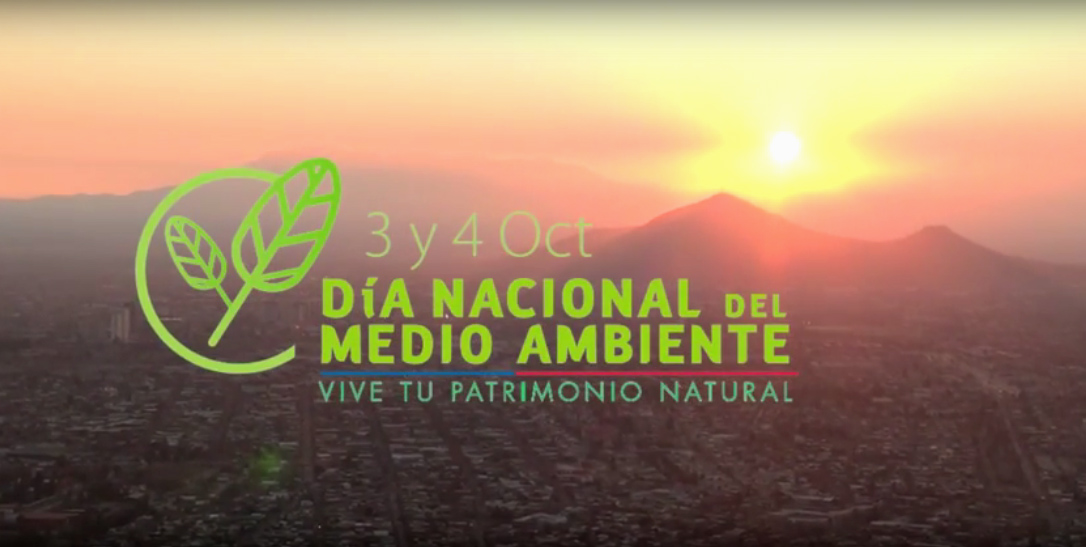 Día del Medio Ambiente: Visita guiada al Cerro San Cristóbal