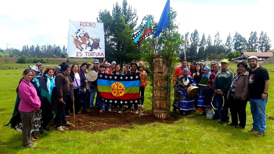 Comunidades Mapuche reivindican terrenos que municipio quiere destinar a casino de huasos y medialuna de rodeo