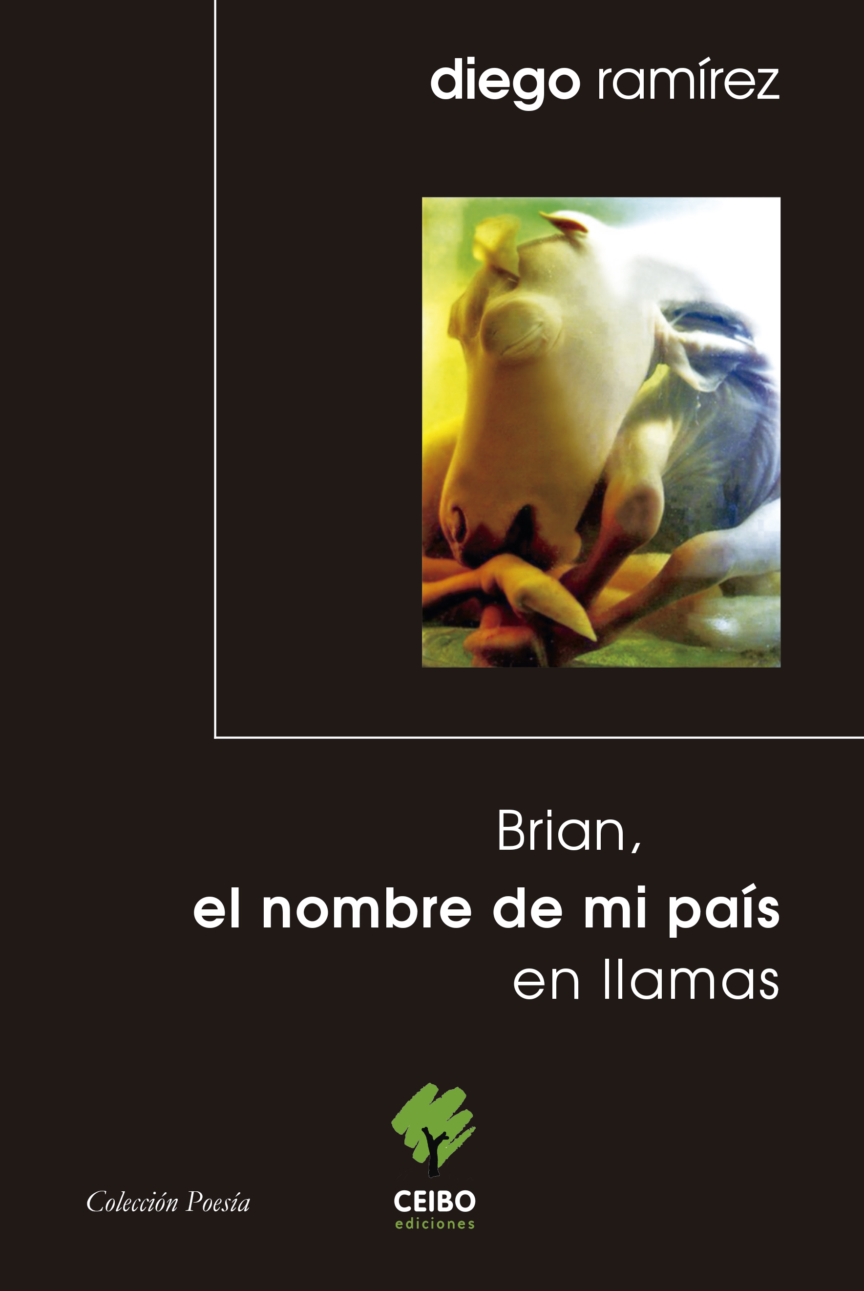 Diego Ramírez lanza el poemario  “Brian, el nombre de mi país en llamas”  en Museo de la Solidaridad Salvador Allende