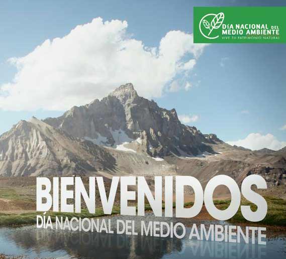 Día Nacional del Medio Ambiente: Recorre nuestras áreas protegidas a lo largo de todo Chile gratis