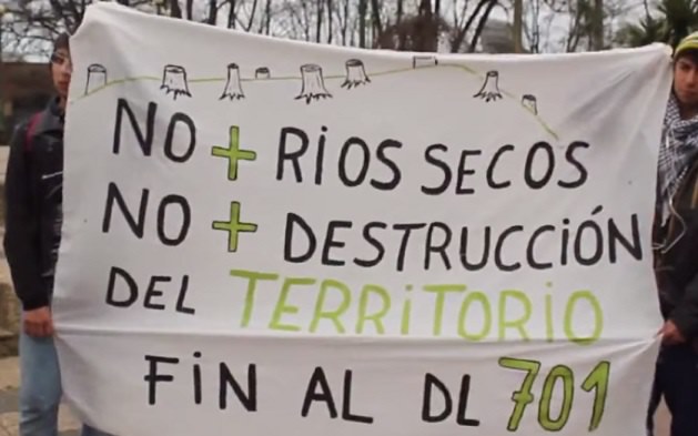Decreto Ley forestal 701 ¿Llega a su fin uno de los bastiones de la dictadura y del neoliberalismo chileno?