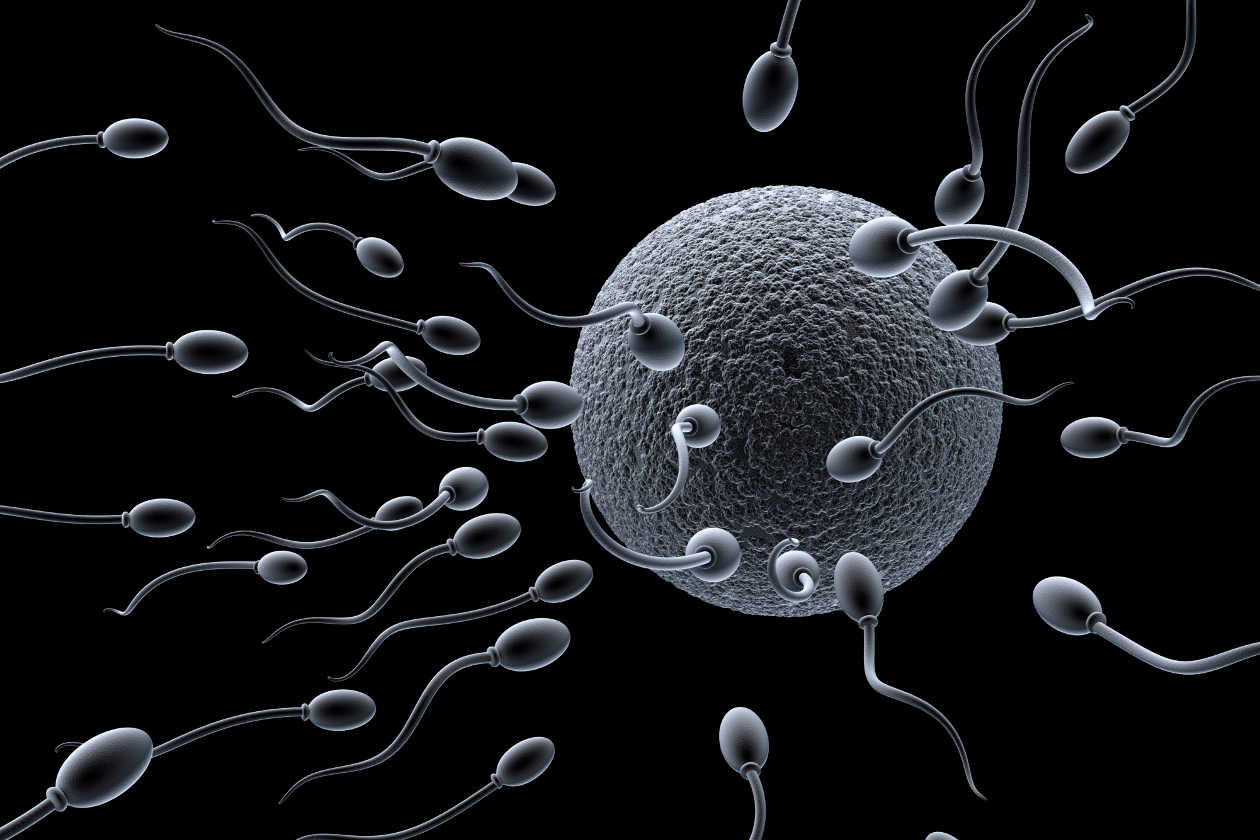 9 cosas que tienes que saber sobre fertilidad