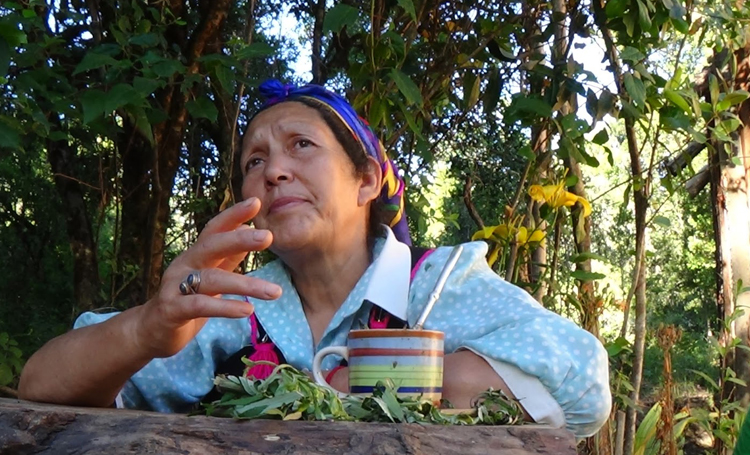 Lonko Juana Calfunao viaja a Washington para denunciar la represión y violencia permanente de parte del Estado al Pueblo Mapuche