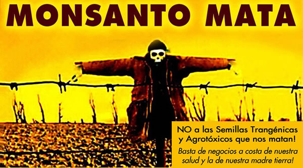 Organizaciones contra los transgénicos denuncian a Monsanto
