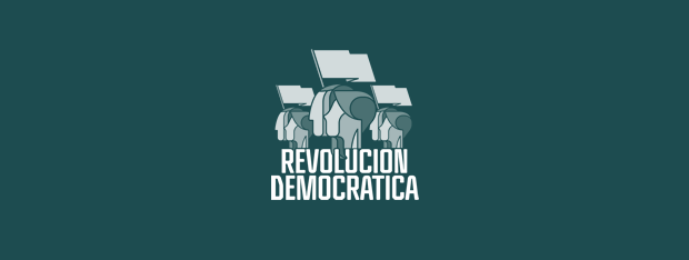 Finalmente, Servel aprueba el nombre de «Revolución Democrática»