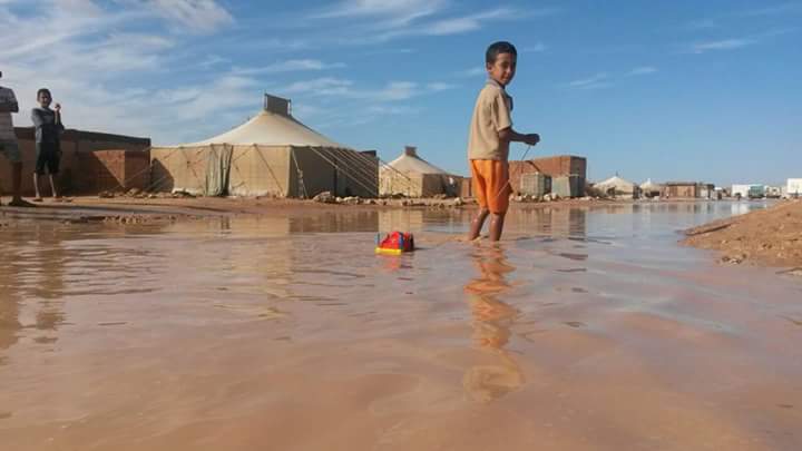 Solicitan al Gobierno ayuda humanitaria urgente para los refugiados saharauis