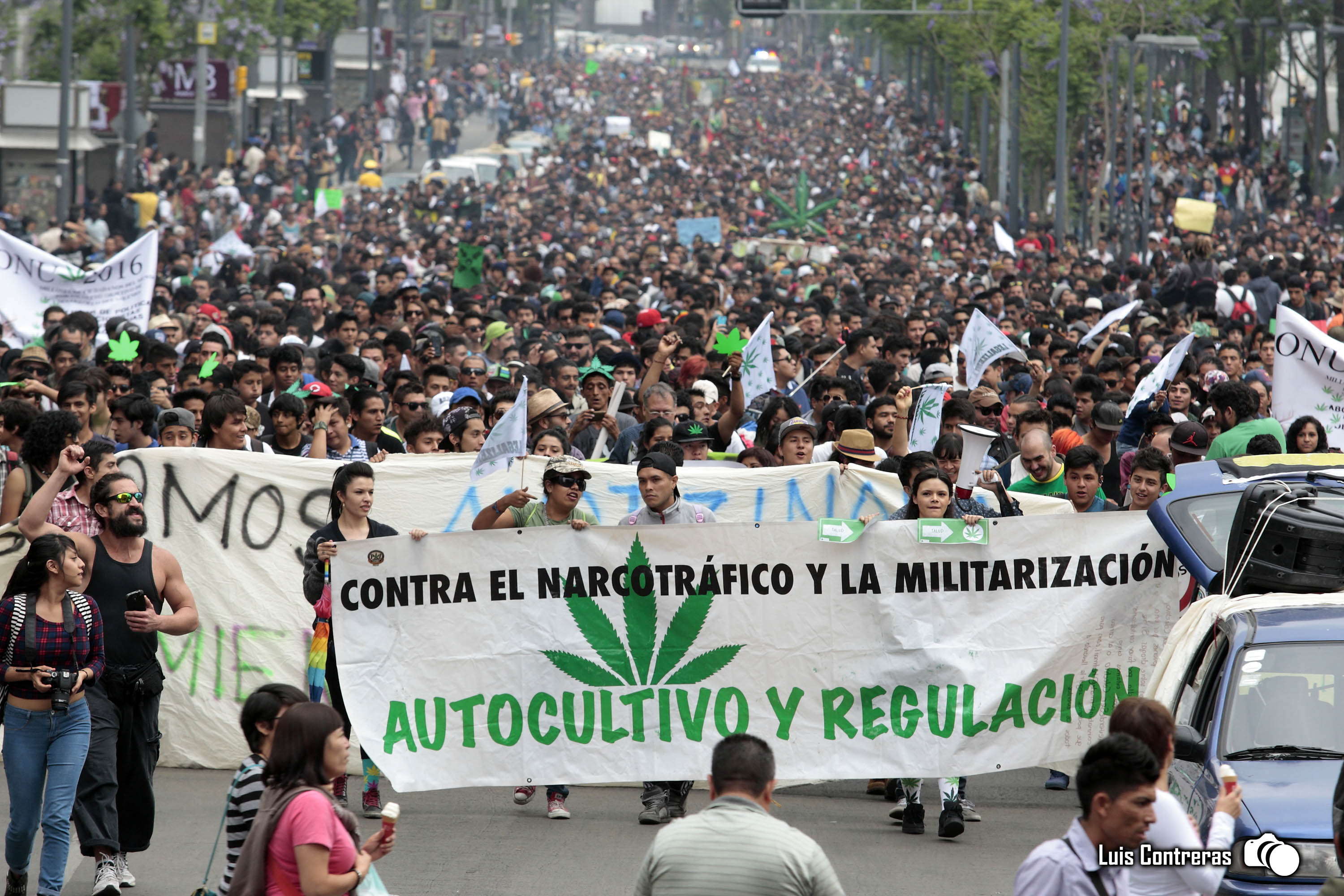 Gobierno Mexicano prepara discusión sobre legalización de mariguana
