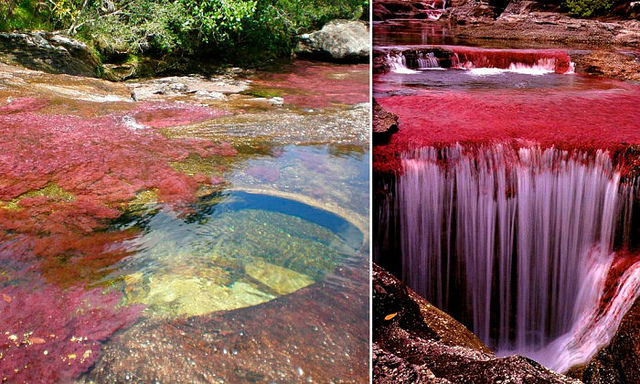 El río de los cinco colores, una de las maravillas naturales mas hermosas del mundo