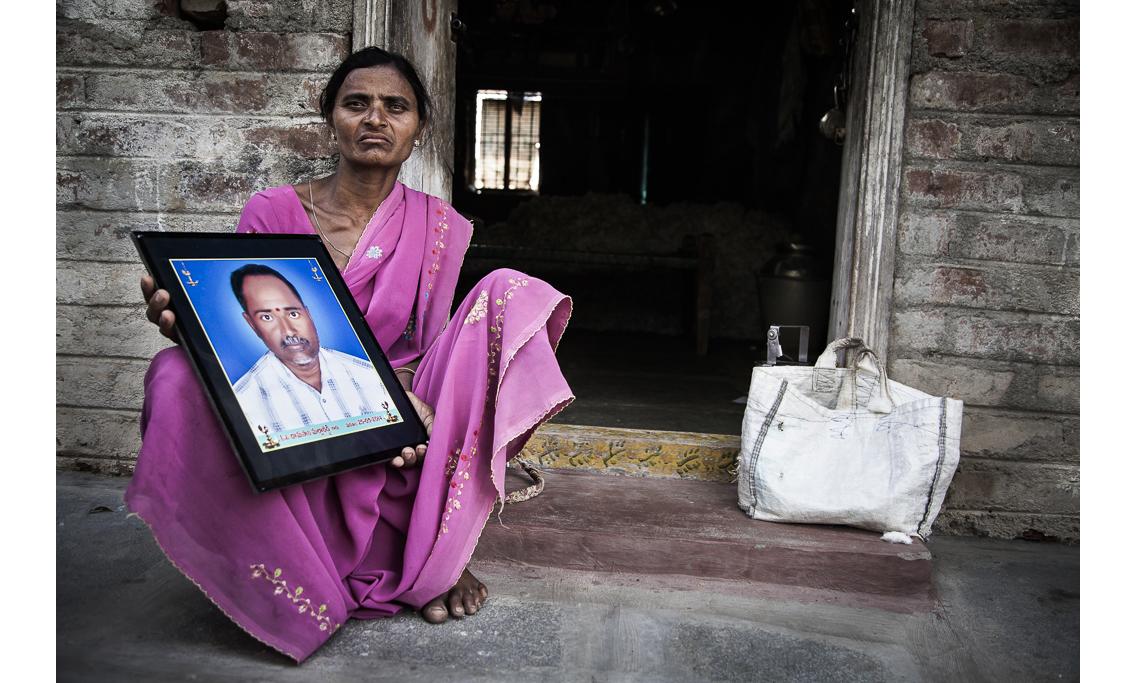Mujeres campesinas y viudas en los campos de algodón transgénico en India