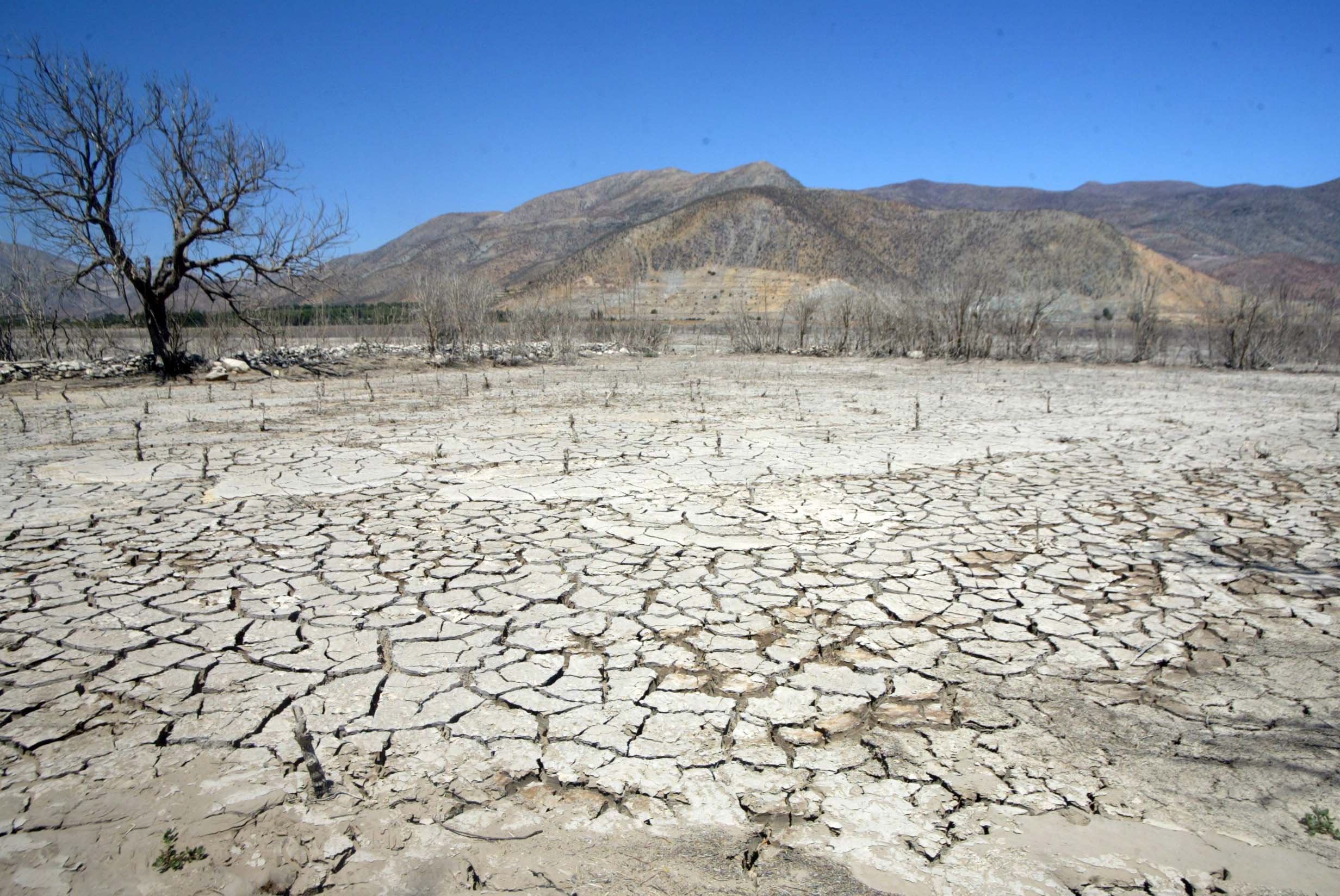 Piden al gobierno plan de contingencia por sequía