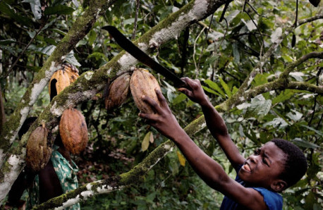 Ten cuidado con estas 10 populares marcas de chocolate ya que explotan niños esclavos