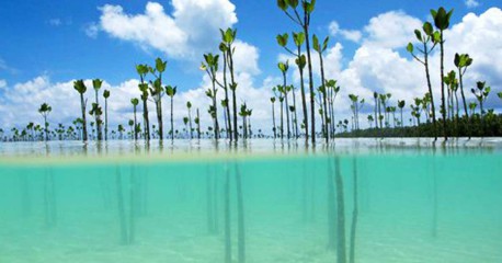 8 lugares que quedarán sumergidos bajo el agua por culpa del calentamiento global