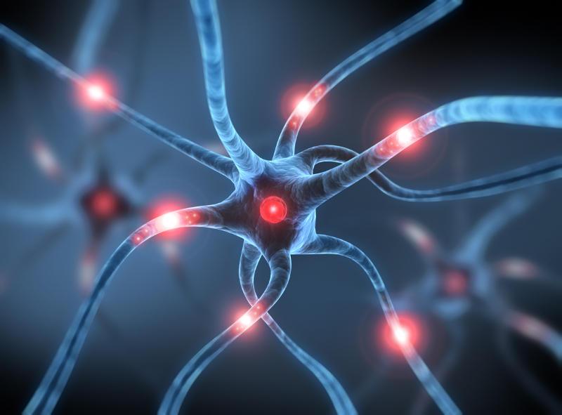 Descubre cómo aumentar la producción de neuronas en tu cerebro… ¡Puedes comenzar de inmediato!
