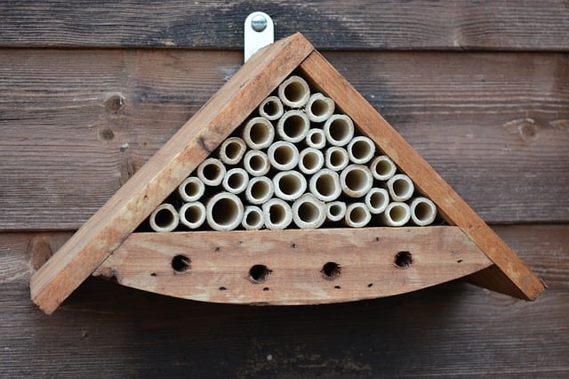 “Hoteles” para abejas, una idea para imitar