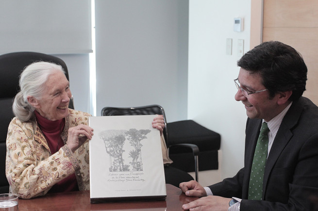Ministro de Medio Ambiente se comprometió con Jane Goodall a oficializar el Día de la Fauna Chilena