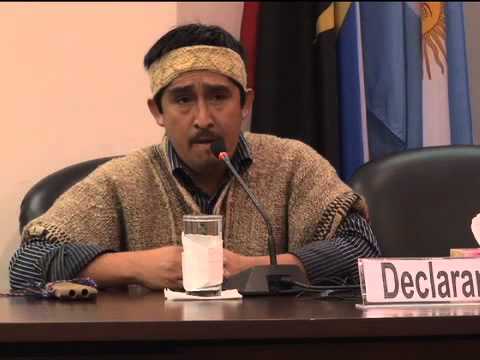 Ginebra: Mapuches piden respeto y garantías para su pueblo ante las Naciones Unidas