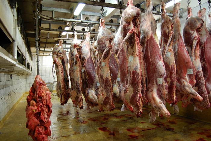 «Apocalipsis» antibiótico: científicos apuntan a la industria de la carne