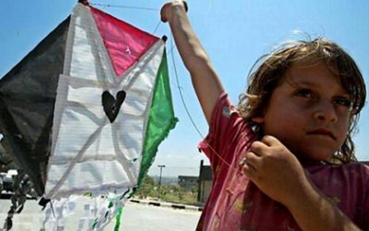 A pesar de las guerras, la limpieza étnica y el odio, la población palestina sigue creciendo