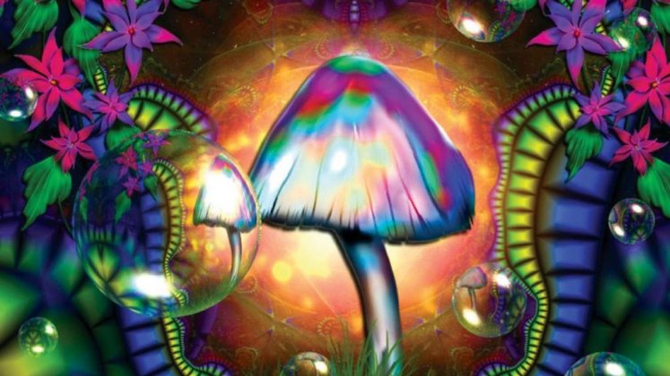La ciencia de los hongos mágicos: científicos miden la «experiencia mística»