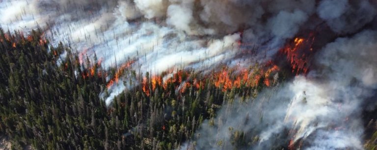 La NASA alertará de incendios forestales de forma inmediata