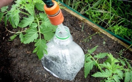 Cómo hacer riego por goteo para las plantas de manera casera y económica