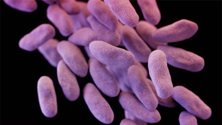 ‘Amenaza fantasma’, la superbacteria altamente mortífera que se extiende por EE.UU.