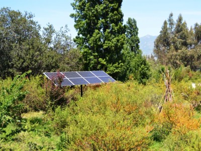 Holandés y energía solar: «Hay tanto sol en Chile que debe aprovecharse»