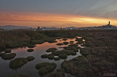 Posible contaminación del humedal El Culebrón alerta a los ciudadanos de Coquimbo