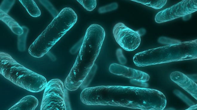¡Preocupante! Primer infectado en Europa con «superbacteria» resistente a todos los antibióticos conocidos