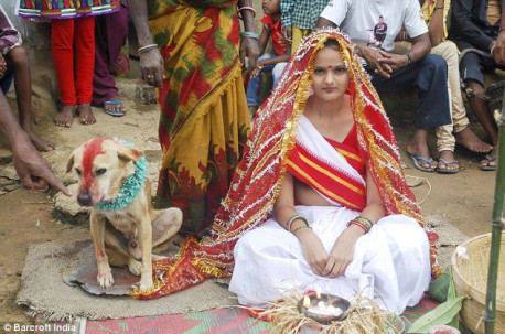 Las extrañas bodas de niños con animales en la India: ¿por qué se realizan?