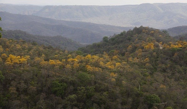 Ecuador y Perú planean convertir bosques en Reserva de la Biosfera