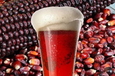 México: biotecnólogos crean primera cerveza artesanal de maíz rojo y azul